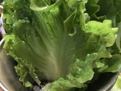 -西塔老太太泥炉烤肉(北京望京店)