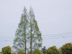 -中国天府农业博览园