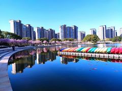 -新江湾城公园