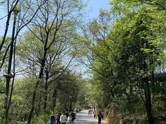 -岳麓山风景名胜区