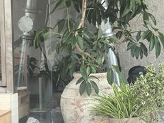 -喜茶(珠海华发商都店)