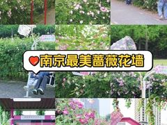 -南京国际青年文化中心