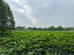 -云龙湖旅游景区