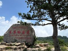 -王莽岭风景区