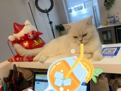 -熙画美上门MakeUp美甲美睫