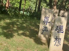 -陈家山荷花公园