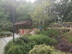 -上海市保健医疗中心