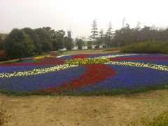 android_upload_pic-上海鲜花港