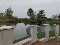 -眉山湿地公园(东坡区)