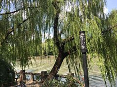 -运河游船(武林门码头)