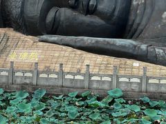 -三水森林公园