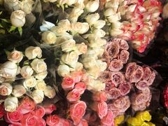 -循礼门鲜花花市(武汉循礼门店)