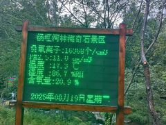 -汤旺河林海奇石景区