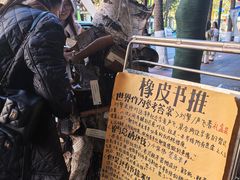 -橡皮书店(翠湖北路店)