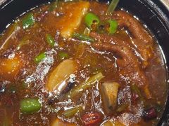 -天辣(金桥啦啦宝都店)