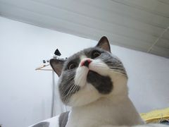 -宠颐生动物医院·小陆分院