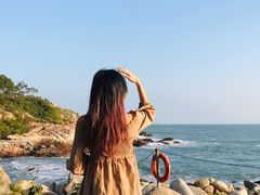-广东惠东海龟国家级自然保护区