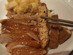 金奖卤鹅肉饭-陈鹏鹏潮汕菜(宝安机场T3航站楼店)