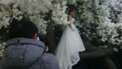 点击看大图 iphone_upload_pic-唯一视觉婚纱摄影(李家村店)