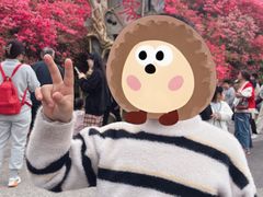 -木兰云雾山