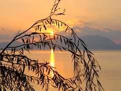 -呈贡滇池生态湿地公园