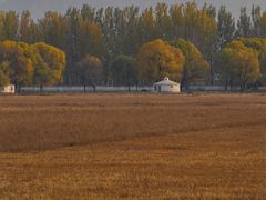 -野鸭湖国家湿地公园