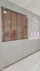 点击看大图 -玛莲朵·海菲秀冰珀科