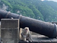 -白帝城·瞿塘峡景区