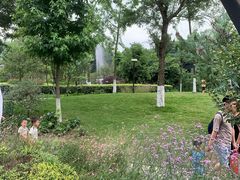 -成飞公园