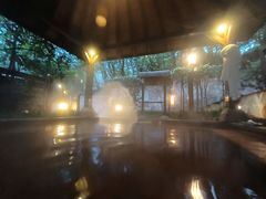 -天目湖涵田半山温泉