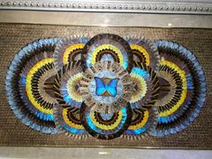 -上海昆虫博物馆