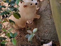 -云南野生动物园