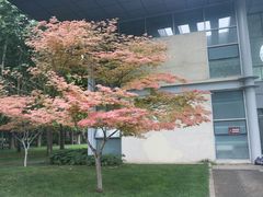 -郑州植物园
