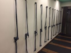 -广州萨谛艾扬格瑜伽中心