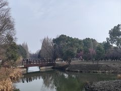 -南湖湿地公园