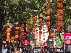 -越秀西湖花市(广州城市广场花卉店)