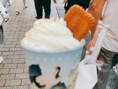 仙居富士山-仙境豆夫(步行街旗舰店)