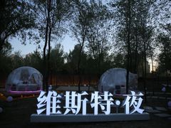 -维斯特·夜烤牛肋条任吃