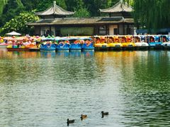 -团结湖公园