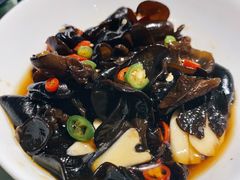 凉拌木耳-乐口福家常菜馆(古庸路店)