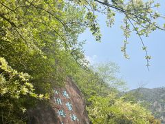 -天台山琼台仙谷景区