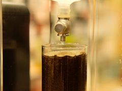 -玫瑰咖啡(中山六路店)