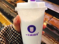 -一只酸奶牛(八一路店)
