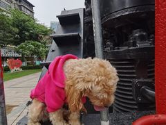 -广九铁路纪念园