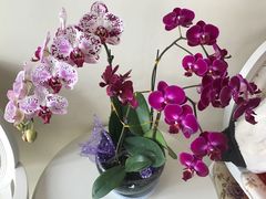 -白玉兰商务酒店(曲阜三孔景区春秋西路店)