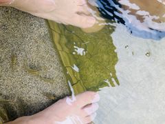 -三江森林温泉度假区