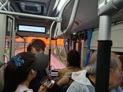 -白洋淀景区