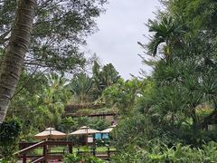 -海南热带野生动植物园