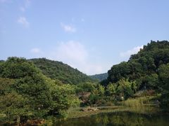 -桃花岭景区
