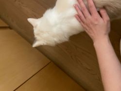 -元一肌肤管理中心